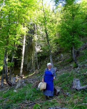 Od Gvavske peči do Zalipja (6)